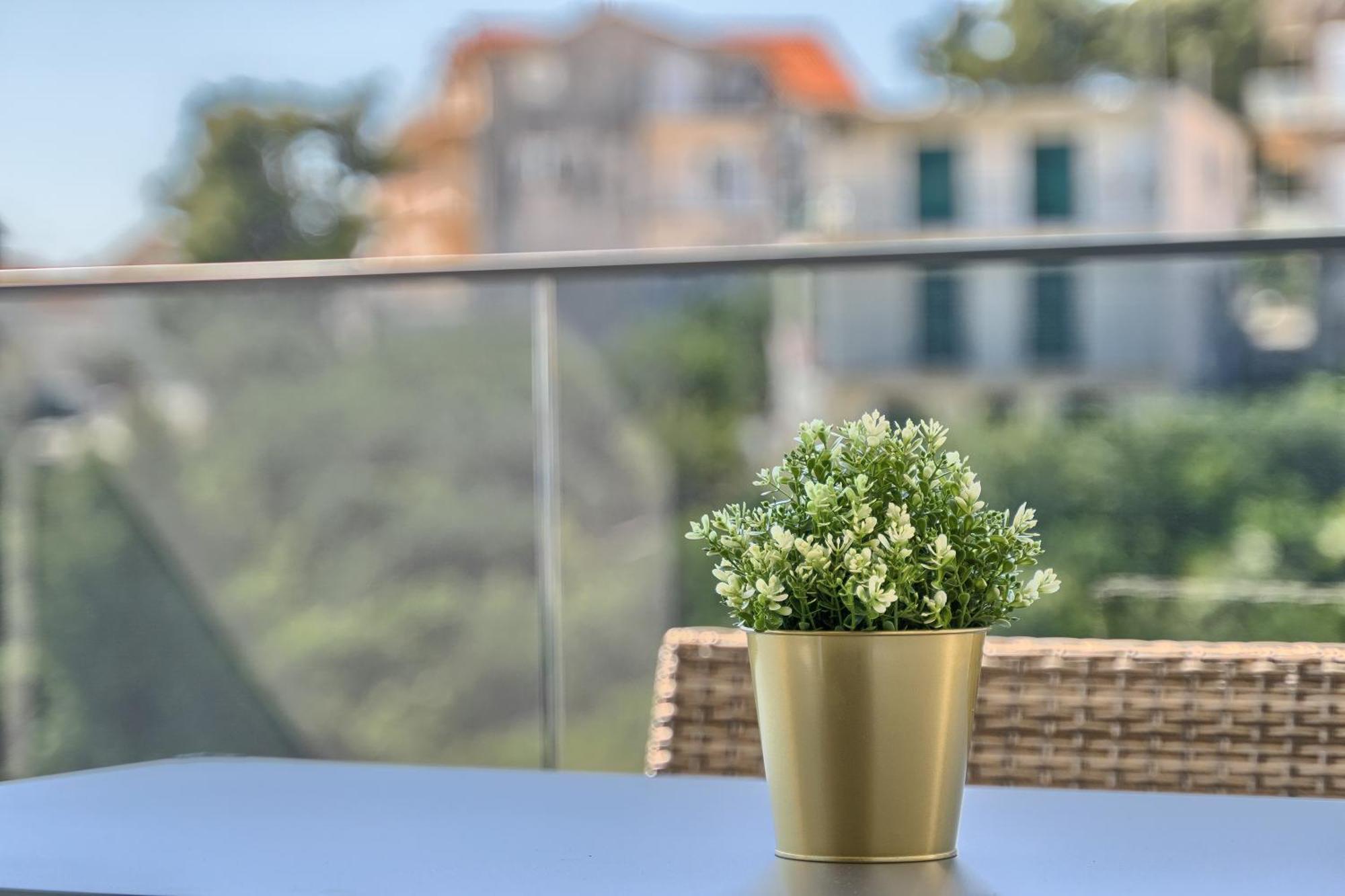 Apartment Franc 2 Primosten